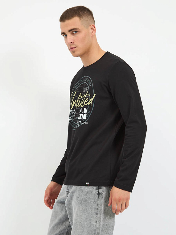 футболка мужская