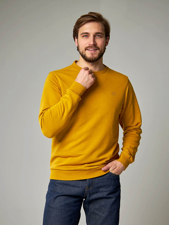 толстовка мужская